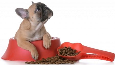 Mat för den franska bulldogen: vad är och hur man väljer?