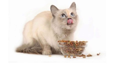 อาหารแบบองค์รวมสำหรับแมวที่ผ่านการฆ่าเชื้อ