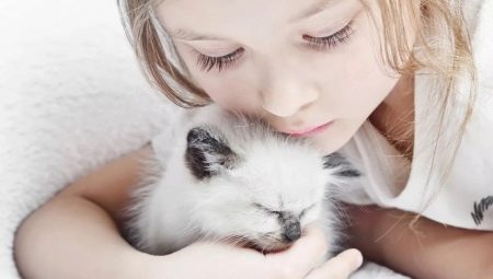 Macskák gyerekeknek: a legjobb fajták áttekintése