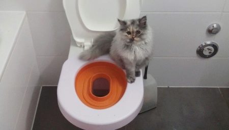 Pads op het toilet voor katten