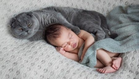 Nyfødte baby og kat i lejligheden