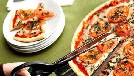 Pizza kutsilyo: mga pagpipilian sa disenyo at mga tampok ng pagpili