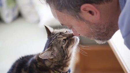 Katter katter menneskelig tale og hvordan uttrykkes det?