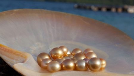 Elv perler: egenskaper, egenskaper og forskjeller fra havet