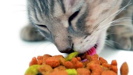 Kačių maisto įvertinimas