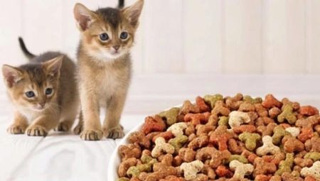 Rating of kitten feed and selection rules