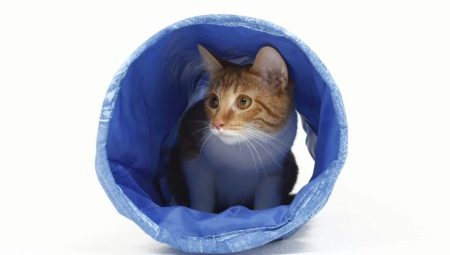 Tunnels (tunnels) voor katten: types en selectiecriteria