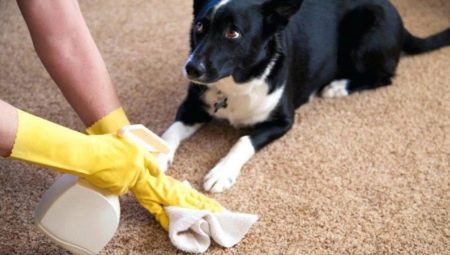 Antigadin pro psy: typy výrobků a pravidla výběru