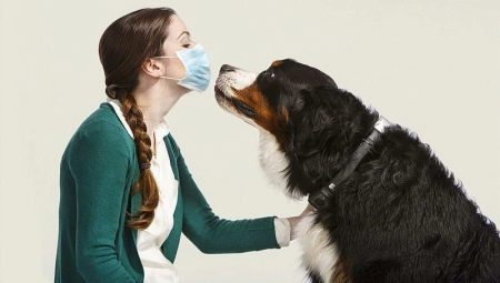 Chó không gây dị ứng: một danh sách các giống phổ biến