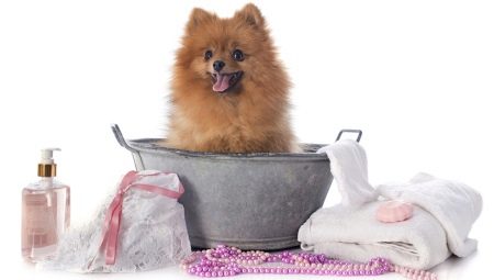 هل من الممكن غسل الكلب بشامبو بشري؟
