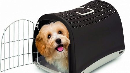 Transportatori pentru câini: numire și tipuri
