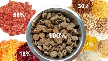 Comparison of dry dog ​​food