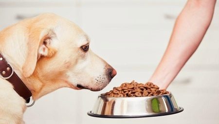 Alimentació seca per a gossos grans