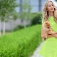 Salotos suknelė - vaizdas su pavasario šviežumo pastabomis