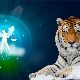 Vyriški „Libra-Tiger“: charakteristika ir suderinamumas