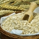 Gosok oat untuk muka: faedah dan bahaya, resipi dan peraturan aplikasi