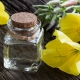 Evening primrose oil: komposisyon, benepisyo at pinsala, mga opsyon para sa paggamit