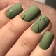 Olive manicure: interessante ideeën en tips over registratie