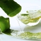Aloe vera oil: sifat dan kegunaan