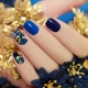 Manicure azul: idéias elegantes e segredos da decoração