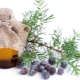 Hartanah minyak juniper dan aplikasinya dalam kosmetologi