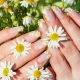 Hoe bloemen te tekenen op nagels: stap voor stap demonteren