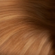 Pros i contres de les extensions de cabell