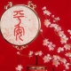 Talismani e amuleti del Feng Shui: appuntamento, consigli per la scelta