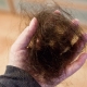 Hair falls out in bunches: causes and solution