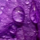 ¿Qué significa el color púrpura en la psicología?