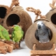 Ház és fészek papagájokhoz: a választás jellemzői, a követelmények, a gyártási szabályok