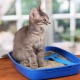 How to use cat litter?