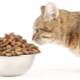 Élelmiszer sterilizált macskák és szűzolt macskák számára