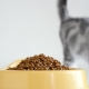 Comparando alimentos secos para gatos