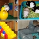 Legetøj til rotter: arter, tips om valg og oprettelse