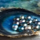 Come si formano le perle e dove può essere trovato?