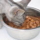 Ruoka pusseissa kissoille: mitä he tekevät ja kuinka paljon annettavaa päivässä?