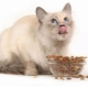 Holistické krmivo pro sterilizované kočky