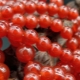 Rode agaat: beschrijving en reikwijdte