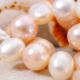 Kultivované perly: odrody a rastový proces