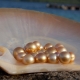 Las perlas de río: características, propiedades y diferencias con el mar.
