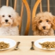 طعام الكلب الجاف: الطبقات ومعايير الاختيار وقواعد التغذية