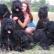 Fekete Terrier: fajta leírása és tartalmi titkai