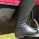 How to choose riding boots?