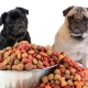 Feed for pugs: typer og funksjoner av valg