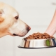 Mat för hundar av stora raser: typer och urvalskriterier