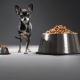 Food for a toy terrier: what are and how to choose?