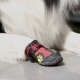 Обувки за кучета: видове и препоръки за подбор