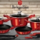 Berlinger Haus πιάτα: χαρακτηριστικά, πλεονεκτήματα και μειονεκτήματα