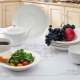 Dishes Wilmax England: features and review of models